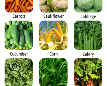 List of Vegetables That Start With C