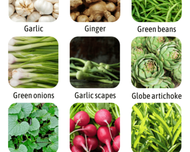 List of Vegetables That Start With G