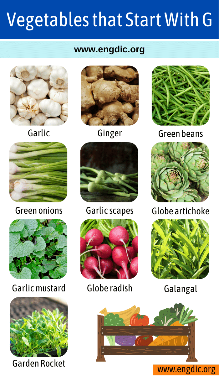 Vegetables that Start With g