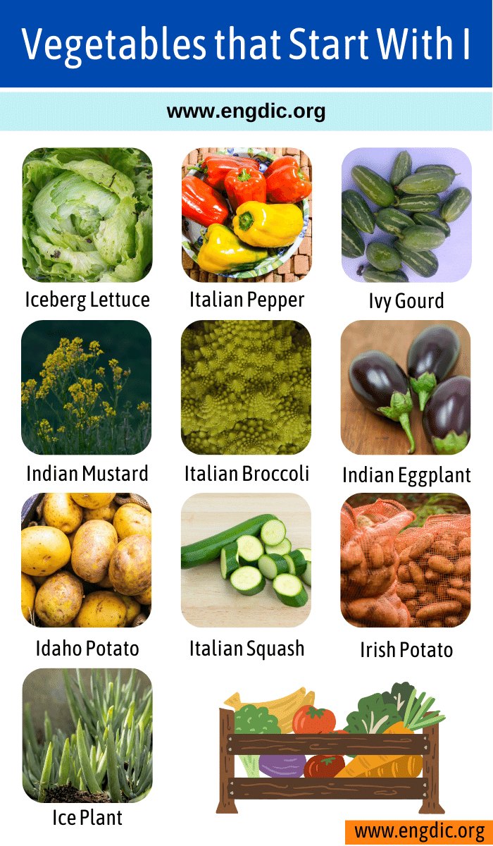 Vegetables that Start With i
