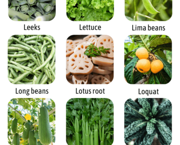 List of Vegetables That Start With L