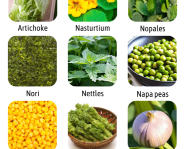 List of Vegetables That Start With N