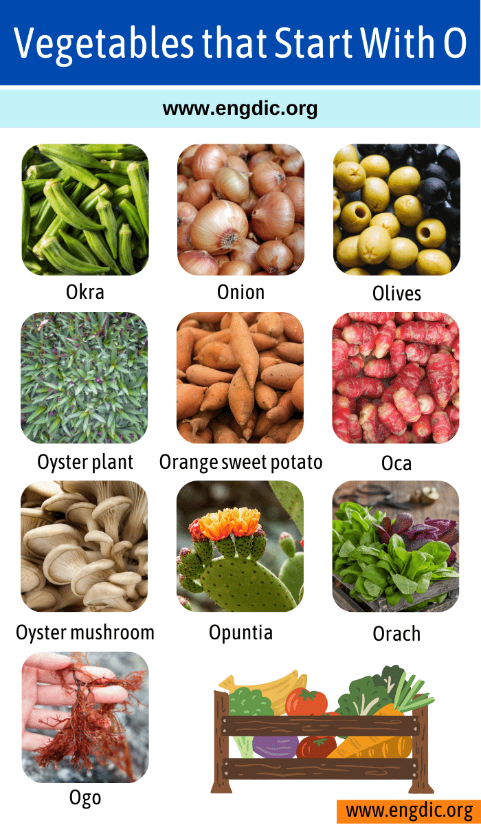 Vegetables that Start With o