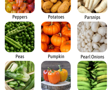 List of Vegetables That Start With P