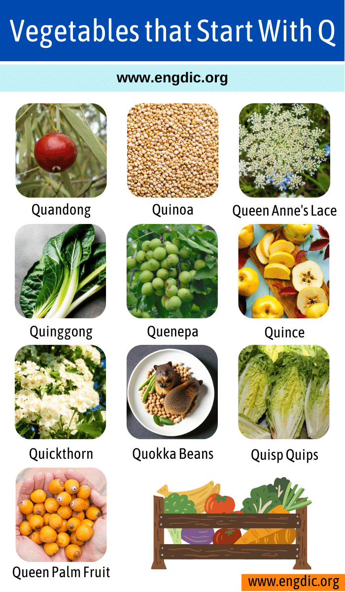 Vegetables that Start With q