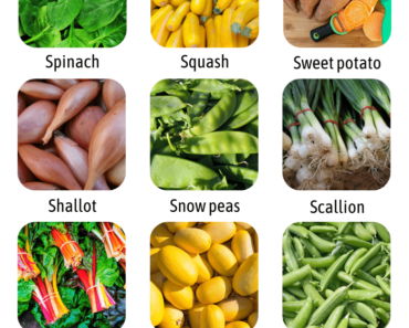 List of Vegetables That Start With S