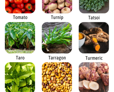 List of Vegetables That Start With T