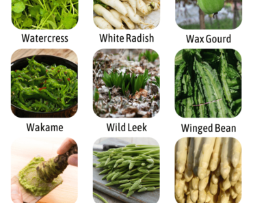 List of Vegetables That Start With W