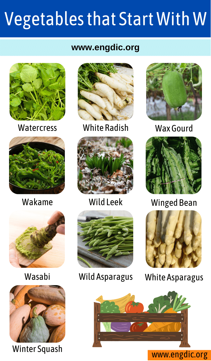 Vegetables that Start With w