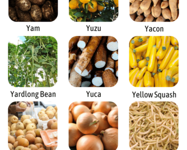 List of Vegetables That Start With Y