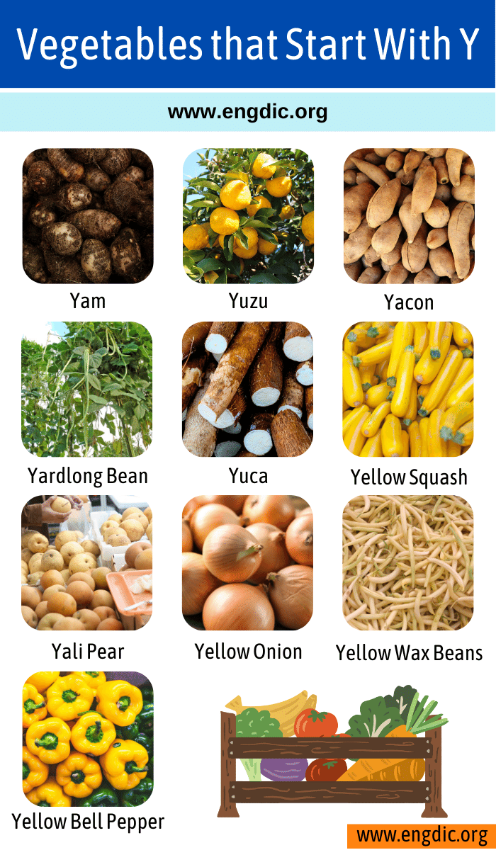 Vegetables that Start With y