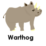 Warthog wild animals names