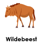 Wildebeest wild animals names