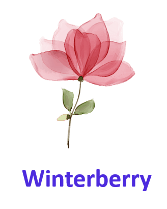 Winterberry 5 Winter Flowers Names