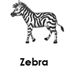 Zebra wild animals names