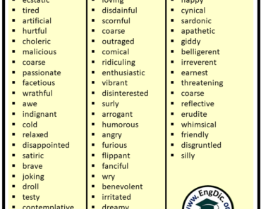 100+ List of Adjectives of Attitude, Definition, and Examples