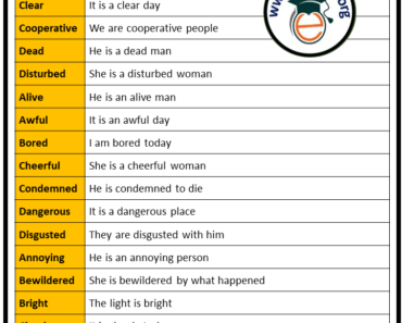 10 Adjectives Words and Examples