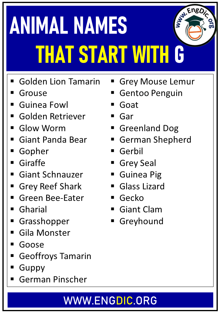 animal names that start with g