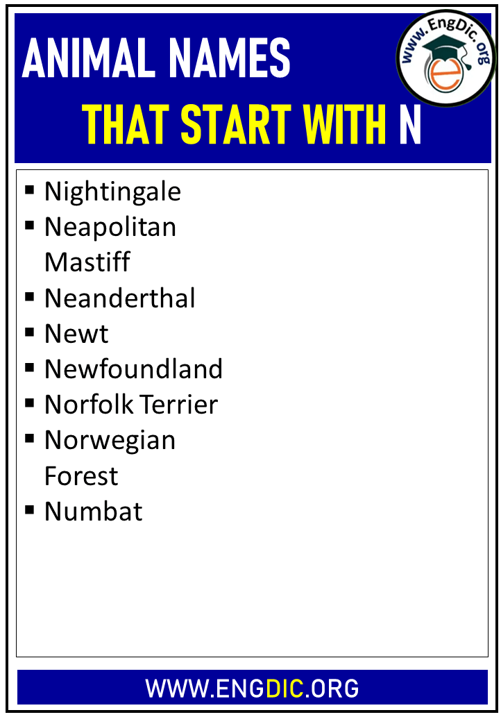 Animal Names That Starts with N - EngDic