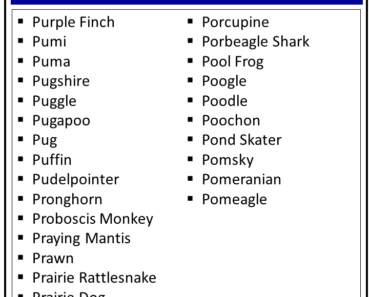 Animal Names That Starts with P