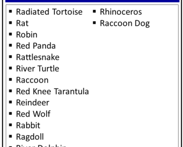 Animal Names That Starts with R