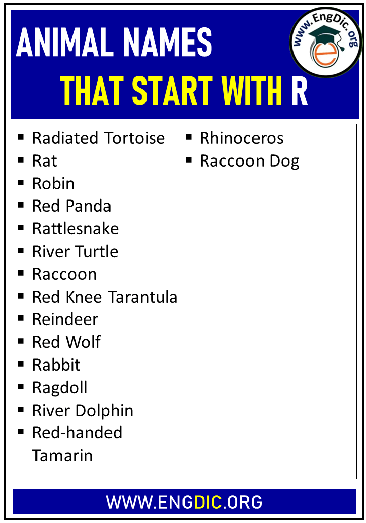 List of 100+ Animals that Start with R Pictures, Facts GetUniqueIdeas