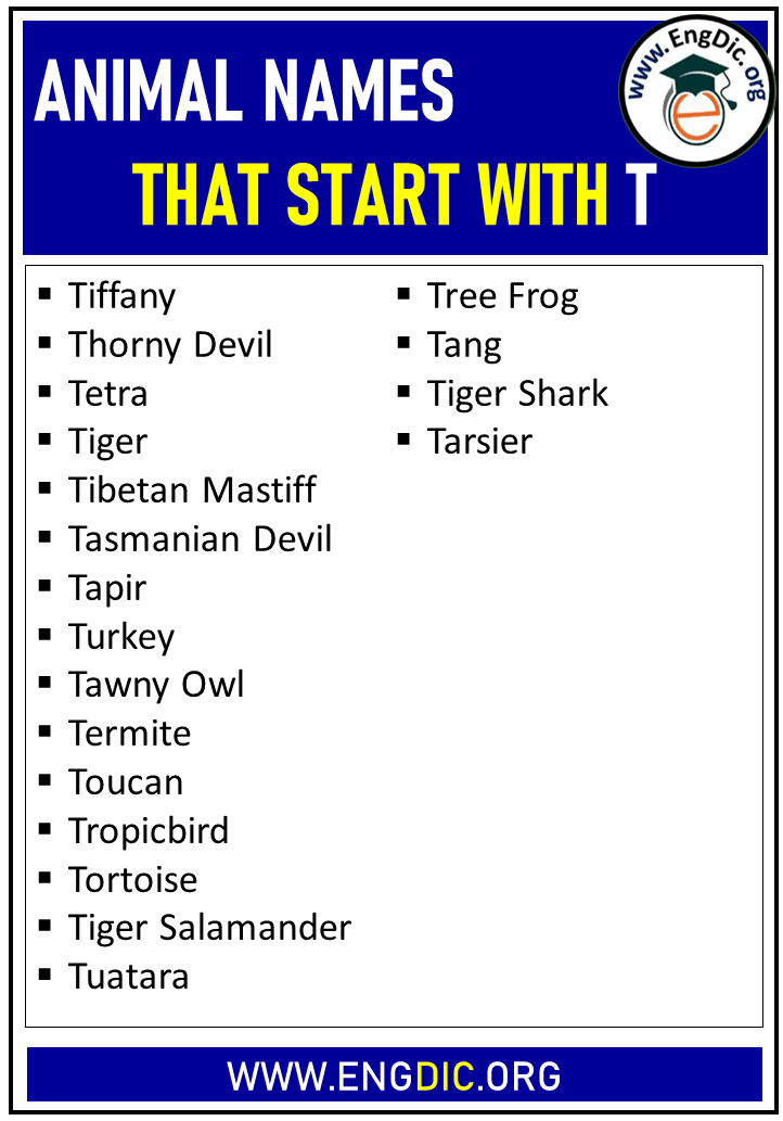 animal names that start with t