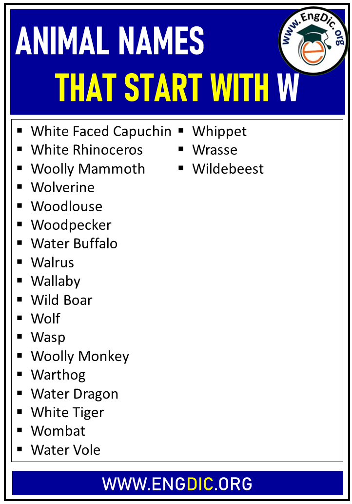 Animal Names That Starts with W - EngDic