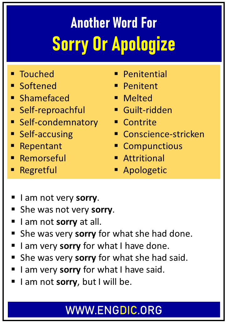 Very Apologize Synonyms