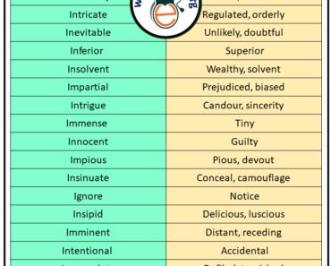 Antonyms That Starts with I, Opposites with I