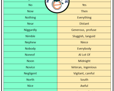 Antonyms That Starts with N, Opposites with N