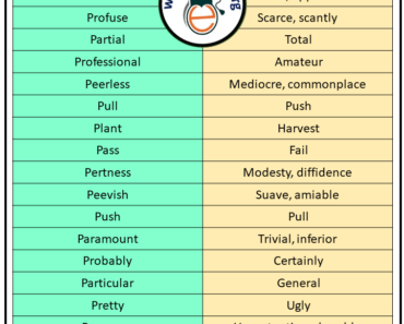 Antonyms That Starts with P, Opposites with P