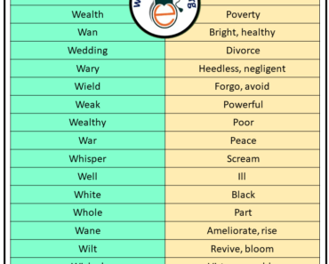 Antonyms That Starts with W, Opposites with W