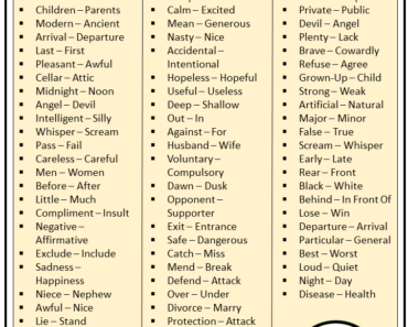 Basic Opposite Words List (Simple and Easy)