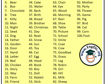 100 Basic English Words For Beginners