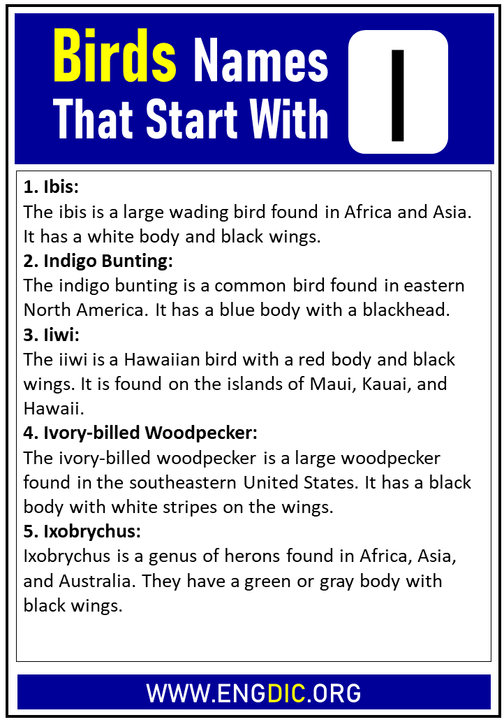 birds names that start with i