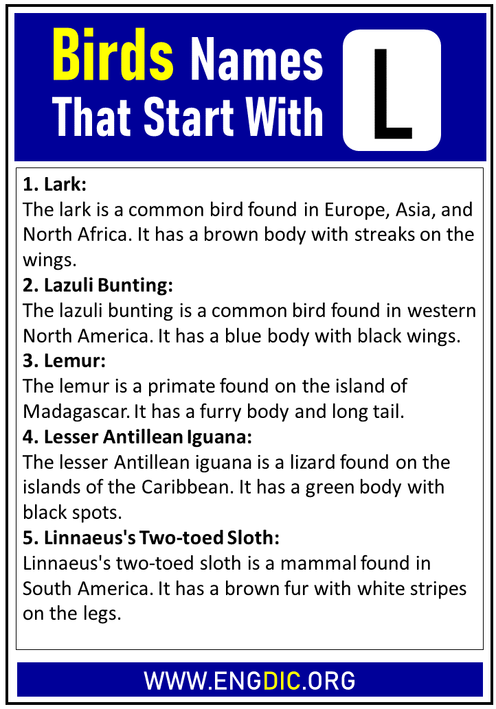 birds names that start with l