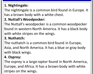 100+ Birds Names that Start With N