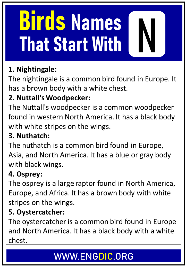 Birds Names that Start With N - EngDic