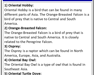Birds Names that Start With O