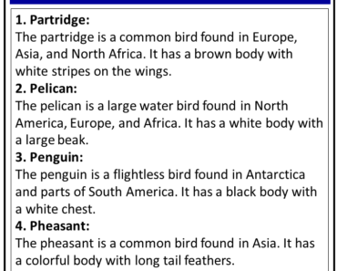 Birds Names that Start With P