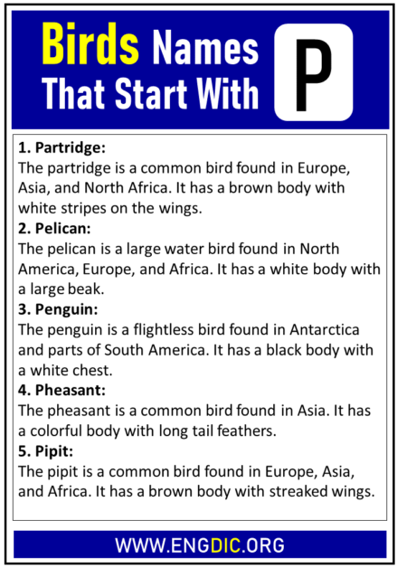 100+ Birds Names that Start With P - EngDic