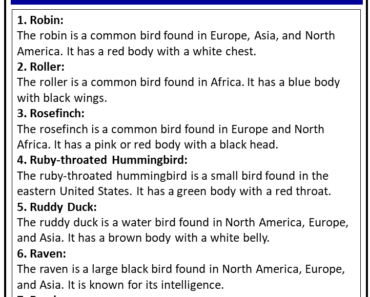 Birds Names that Start With R