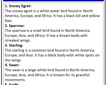Birds Names that Start With S