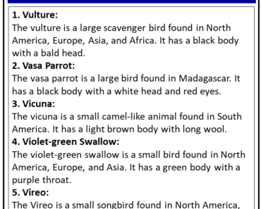 Birds Names that Start With V