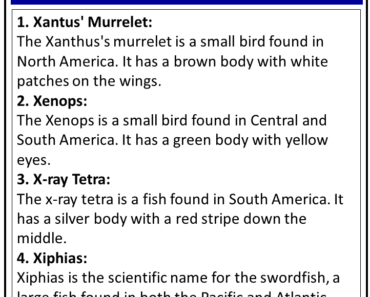 Birds Names that Start With X