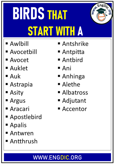Birds That Start With A EngDic