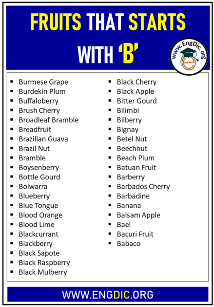 54 Fruits That Start With B (Pictures And Properties) - EngDic