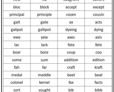 Homophones And Homonyms List And Examples