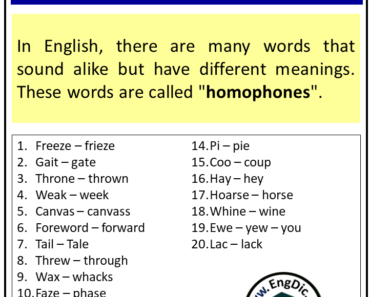 20 Homophones Words List (Common Homophones List)